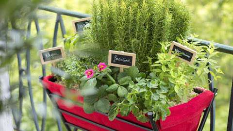 Herbes-O-Bobos Herbes-O-Bobos